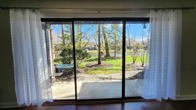entryway with a water view, wood finished floors, and a healthy amount of sunlight