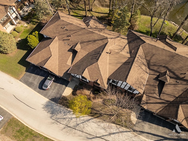 drone / aerial view