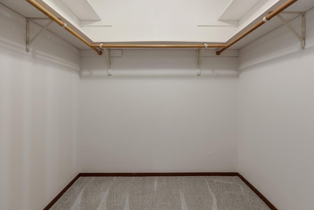 1097 Washington St, Bartlett, IL 60103 - spacious closet with carpet floors