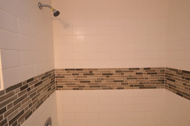 1227 S Harlem Ave Unit 511, Berwyn, IL 60402 - details with tiled shower