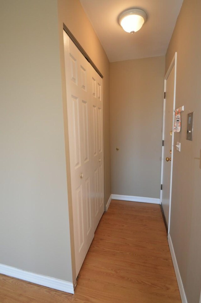 1227 S Harlem Ave Unit 511, Berwyn, IL 60402 - hallway featuring light wood-style floors and baseboards