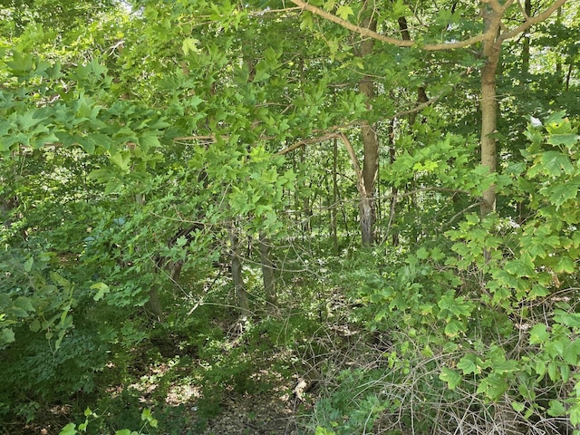 LOT15 Legion Rd, Yorkville, IL 60560 - photo 2