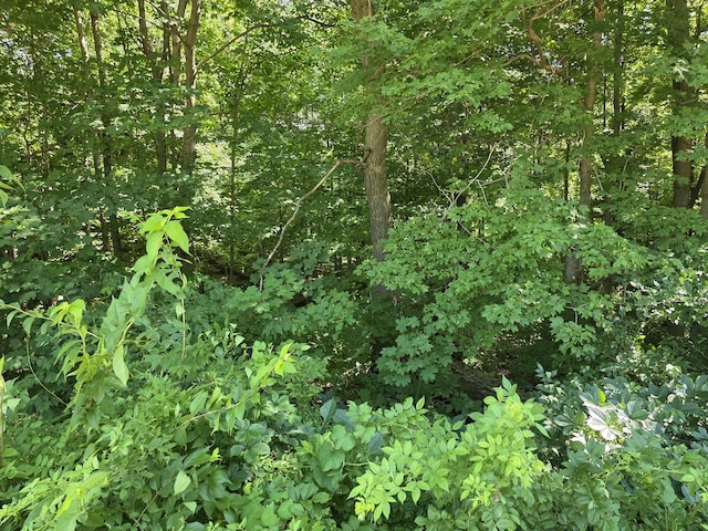 LOT15 Legion Rd, Yorkville, IL 60560 - photo 4