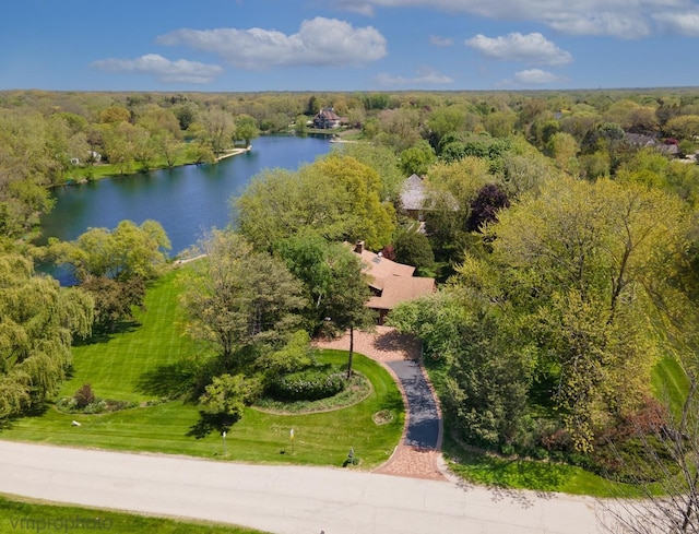 20753 N Buffalo Run, Kildeer, IL 60047 - bird's eye view of a large body of water and a forest