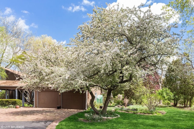 20753 N Buffalo Run, Kildeer, IL 60047 - view of property hidden behind natural elements featuring a front lawn and decorative driveway