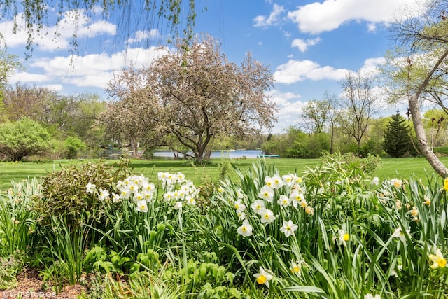 20753 N Buffalo Run, Kildeer, IL 60047 - view of green lawn