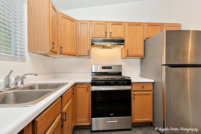 35850 N Benjamin Ave, Ingleside, IL 60041 - kitchen featuring appliances with stainless steel finishes, under cabinet range hood, a sink, and light countertops