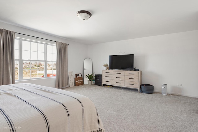 bedroom with carpet