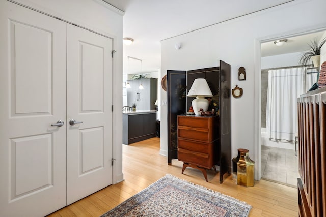 225 N Columbus Dr Unit 5305, Chicago, IL 60601 - bedroom featuring light wood-type flooring, ensuite bath, and a closet