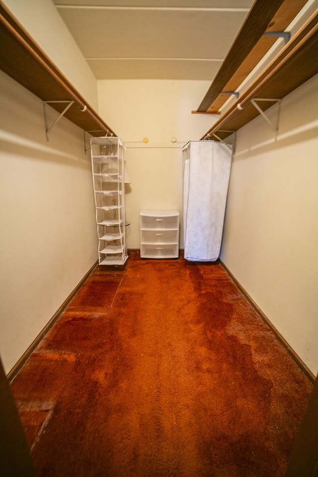 spacious closet with carpet floors