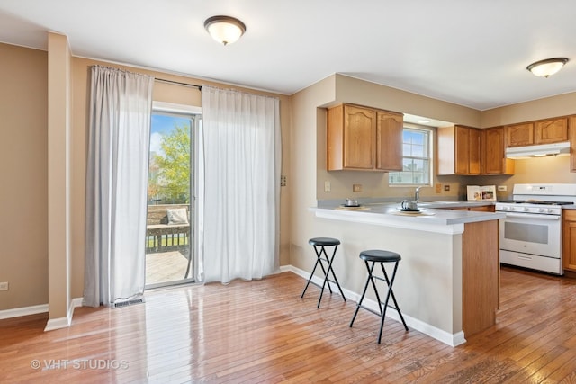 271 Valley Forge Ave, South Elgin, IL 60177 - kitchen with a breakfast bar area, a sink, light wood-style floors, under cabinet range hood, and gas range gas stove