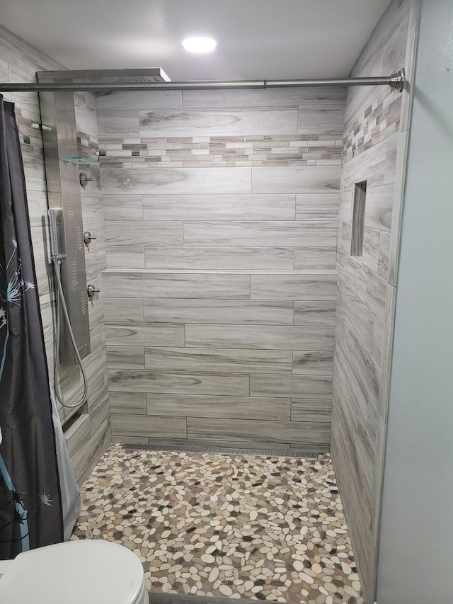310 E Butler Ave, Grant Park, IL 60940 - bathroom with toilet and a stall shower