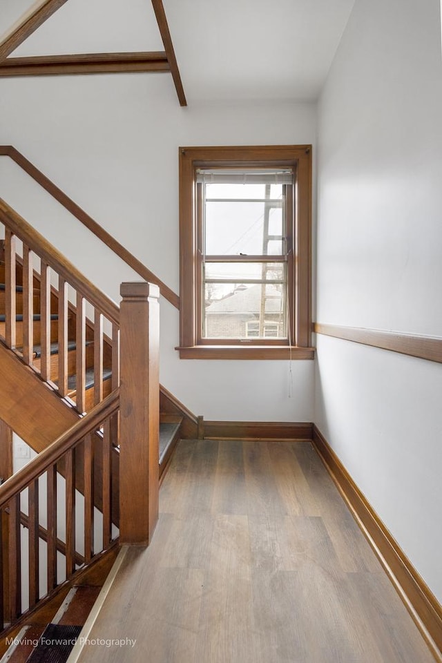1916 Kenilworth Ave, Berwyn, IL 60402 - stairway with baseboards and wood finished floors