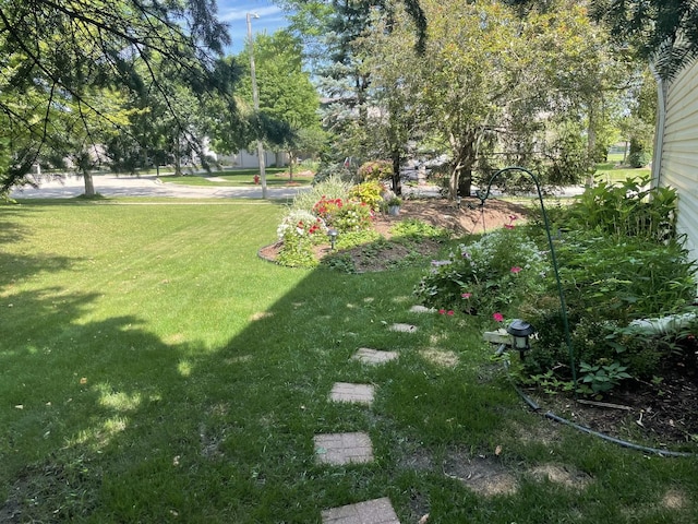 2219 Barrett Dr, Algonquin, IL 60102 - view of green lawn