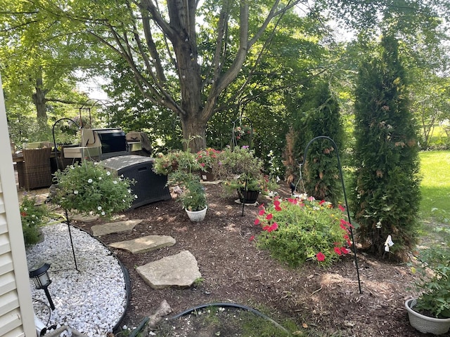 2219 Barrett Dr, Algonquin, IL 60102 - view of yard