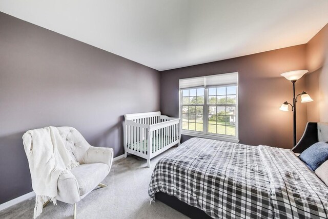 516 Citadel Cir, Westmont, IL 60559 - photo 27