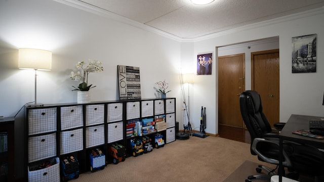 office space with ornamental molding and carpet