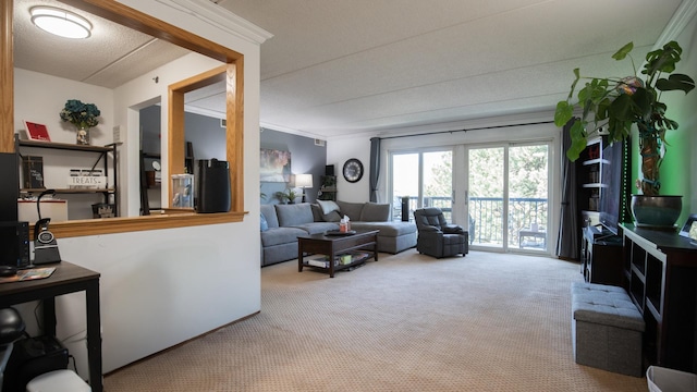 carpeted living area featuring crown molding
