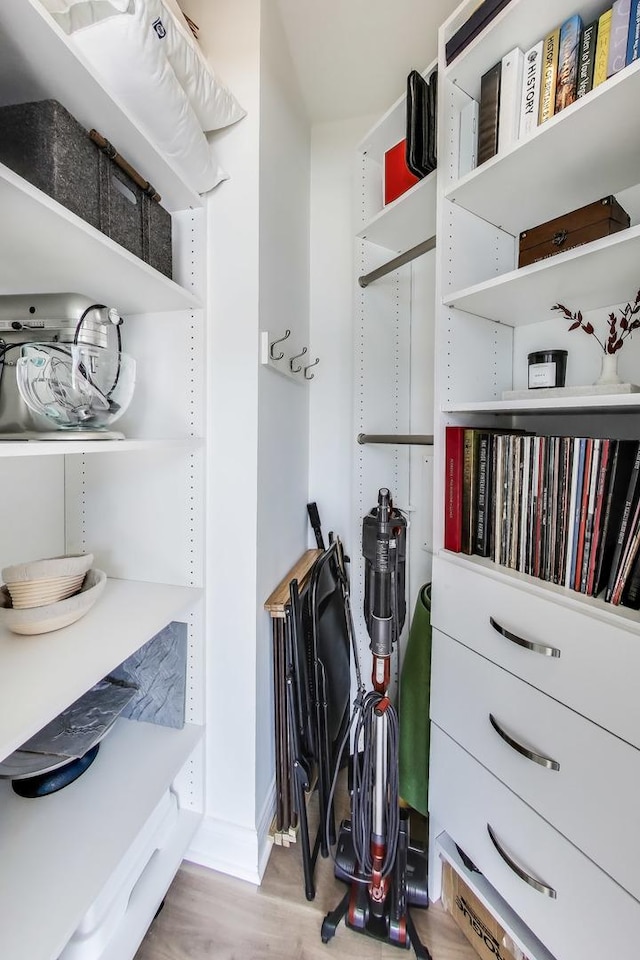 walk in closet featuring wood finished floors