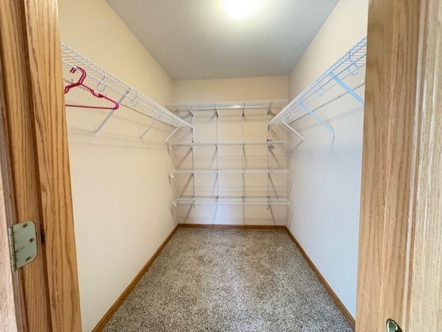 794 Meadowridge Dr, Aurora, IL 60504 - spacious closet with carpet flooring