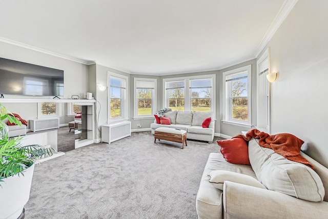 sunroom featuring radiator heating unit