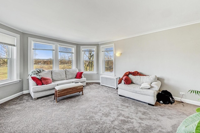 living area with ornamental molding, radiator heating unit, and carpet
