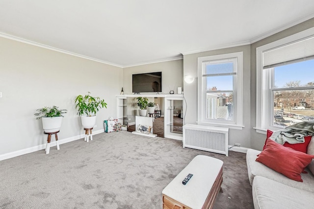 carpeted living area featuring crown molding, baseboards, and radiator