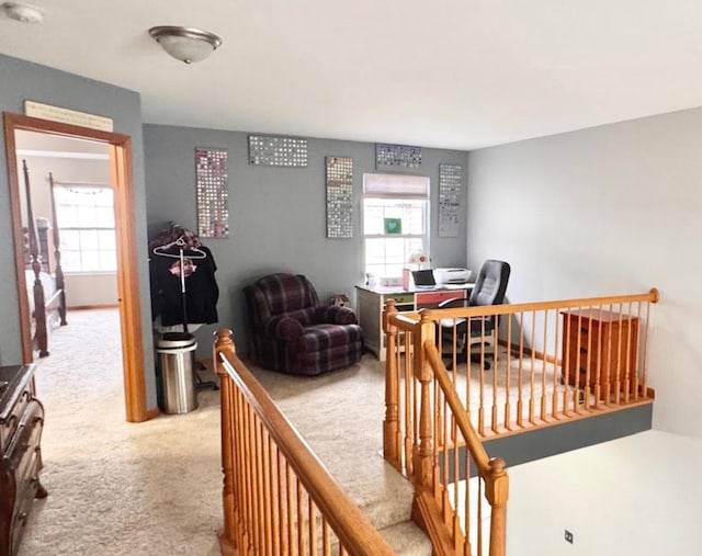 carpeted home office featuring a healthy amount of sunlight