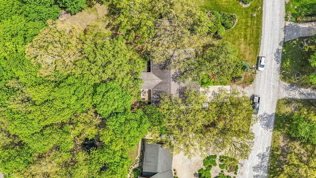 106 Chickasaw Ln, Loda, IL 60948 - photo 46