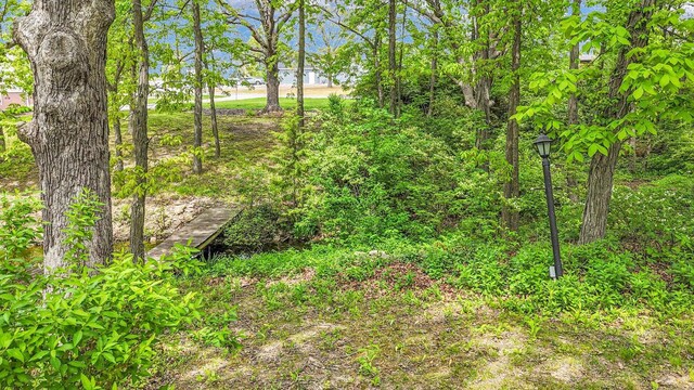 106 Chickasaw Ln, Loda, IL 60948 - photo 51