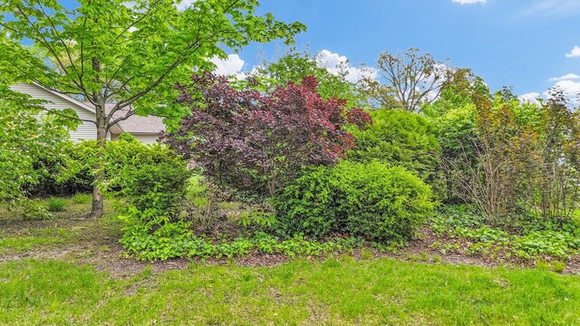 106 Chickasaw Ln, Loda, IL 60948 - photo 52