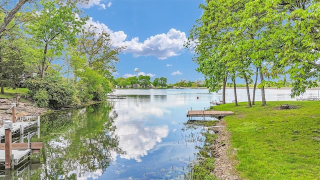 106 Chickasaw Ln, Loda, IL 60948 - photo 67