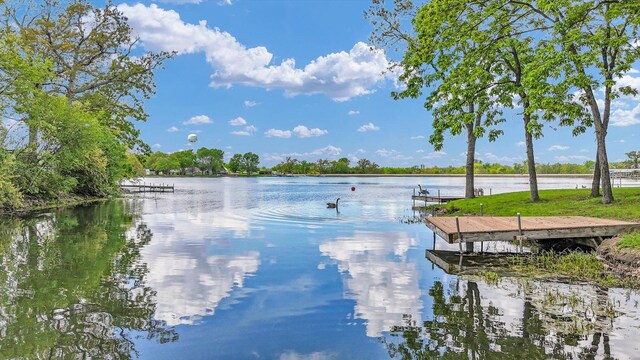 106 Chickasaw Ln, Loda, IL 60948 - photo 68
