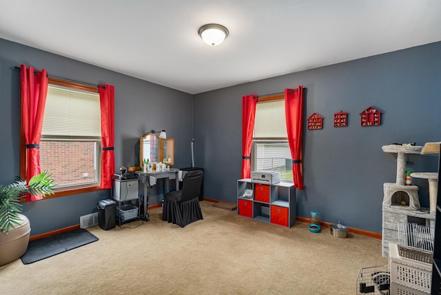 918 Dawes Ave, Joliet, IL 60435 - playroom with carpet and baseboards