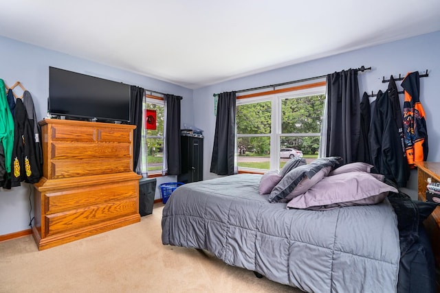 918 Dawes Ave, Joliet, IL 60435 - bedroom featuring carpet