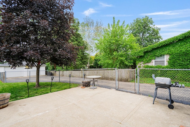 918 Dawes Ave, Joliet, IL 60435 - view of patio with a gate and grilling area