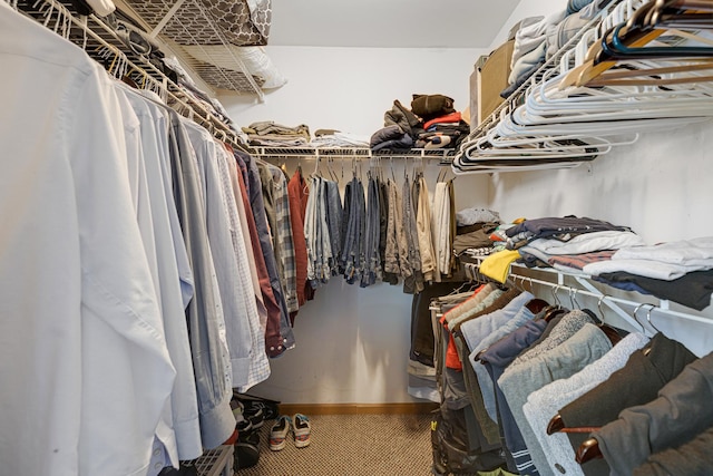 spacious closet with carpet floors