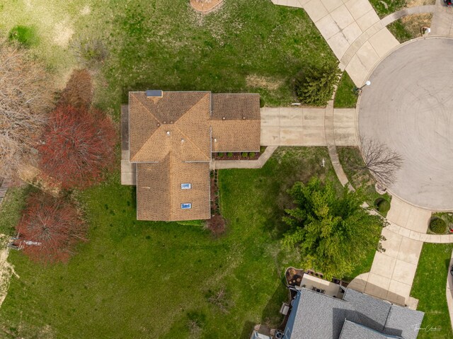 bird's eye view