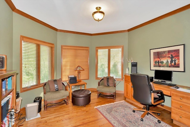 office area featuring crown molding, light wood-type flooring, and plenty of natural light