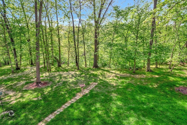 view of grassy yard