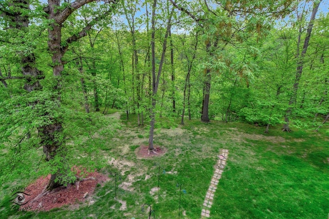 view of yard with a view of trees