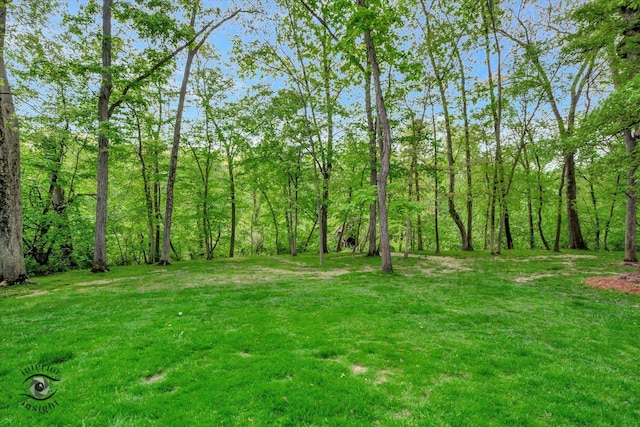 view of green lawn