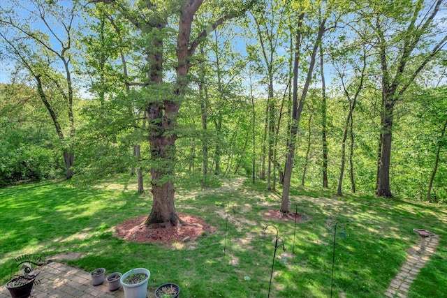 view of grassy yard