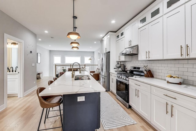 kitchen with a sink, light wood-type flooring, appliances with stainless steel finishes, and under cabinet range hood