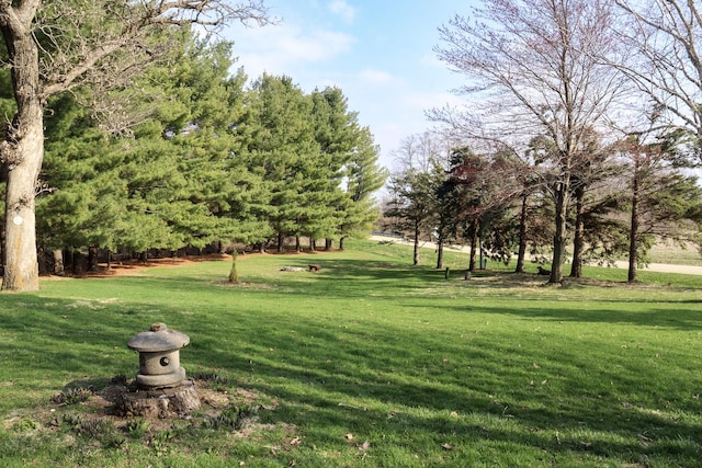 view of yard