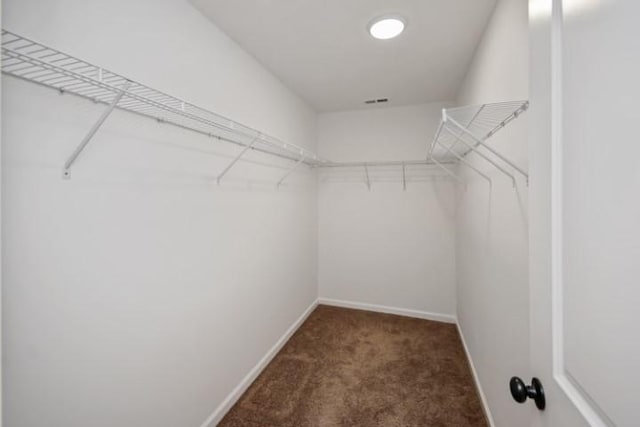 spacious closet with carpet