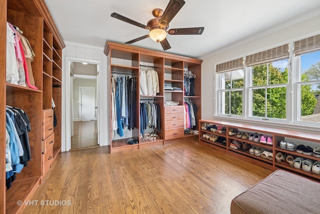 209 W Lake St, Barrington, IL 60010 - bedroom featuring a closet, multiple windows, wood finished floors, crown molding, and a ceiling fan