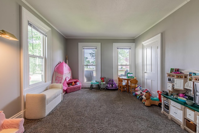 112 E Peru St, Princeton, IL 61356 - recreation room featuring carpet flooring, plenty of natural light, and ornamental molding
