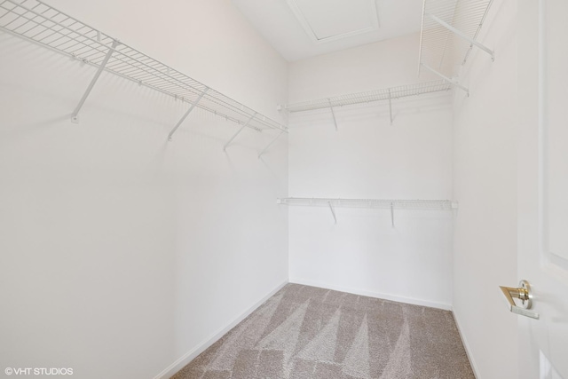 13425 Michigan Ave, Huntley, IL 60142 - walk in closet with carpet floors