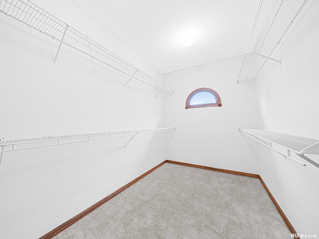 165 Fairfield Dr Unit 35B, New Lenox, IL 60451 - spacious closet with carpet flooring